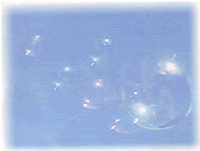 3.gif