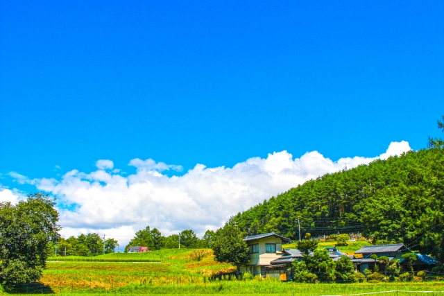 山での生活